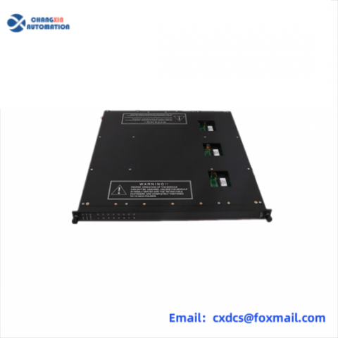 TRICONEX 9561-810 Information Storage & Memory Module