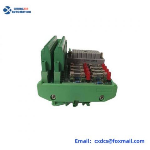 TRICONEX DO2401 Displacement Transmitter with Dual Lever Mechanism